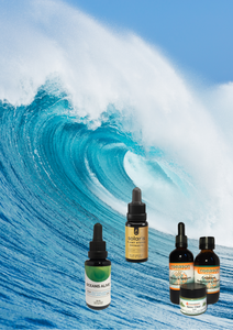 ALL PRODUCTS