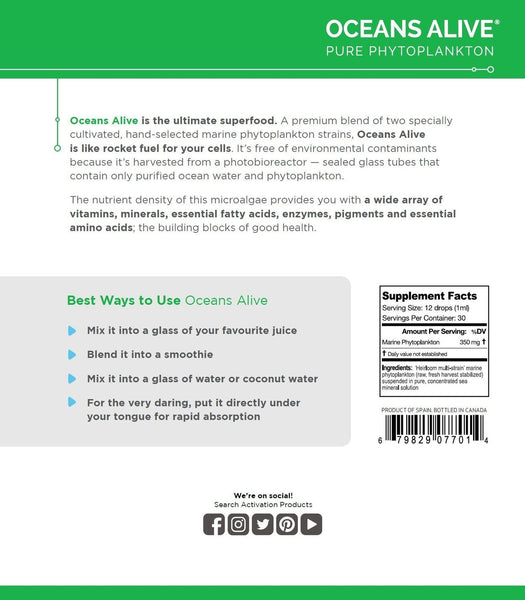 OCEANS ALIVE                    ACTIVATIONS        Marine Phytoplankton                    FOCUS + ENERGY
